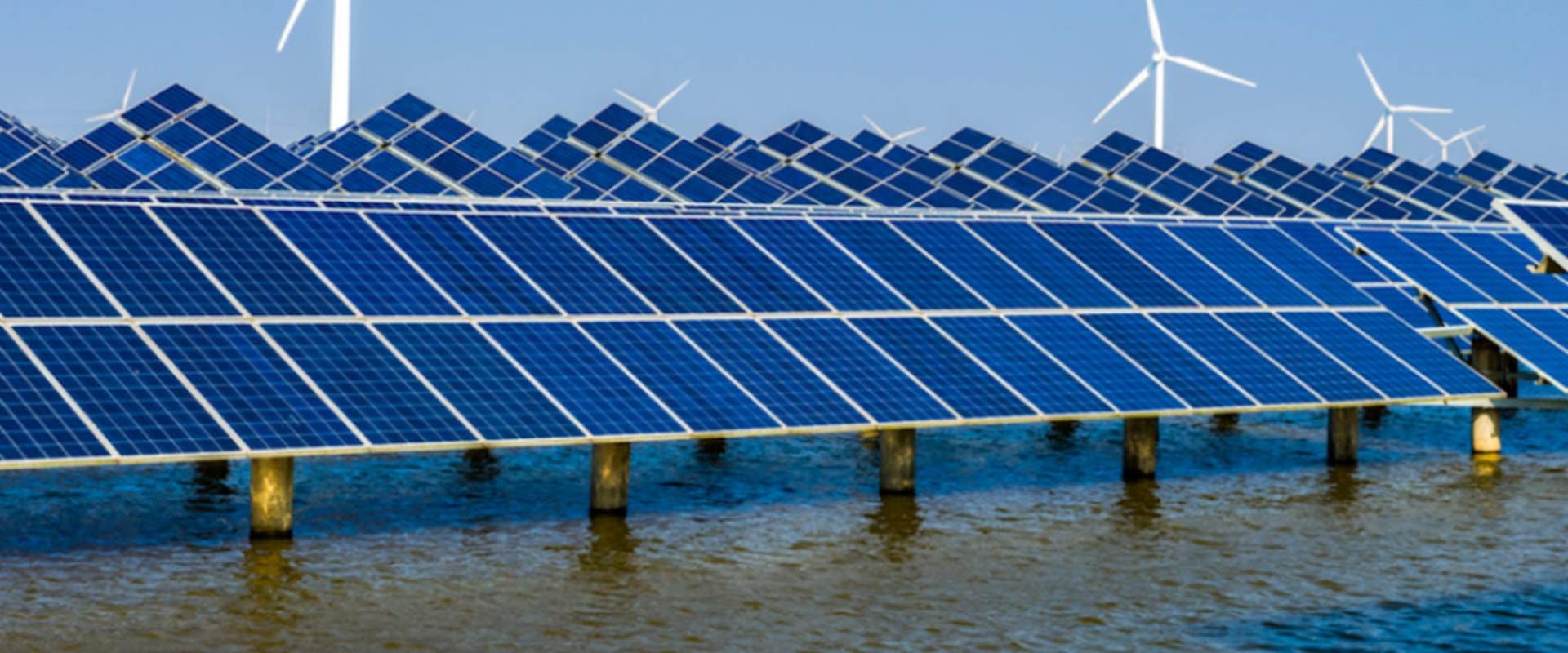 The Growing Renewable Energy Industry in Coral Springs, FL